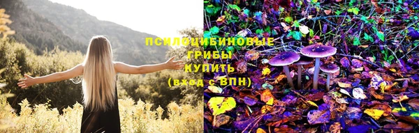 ешки Козловка