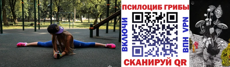 Купить Вольск Галлюциногенные грибы прущие грибы